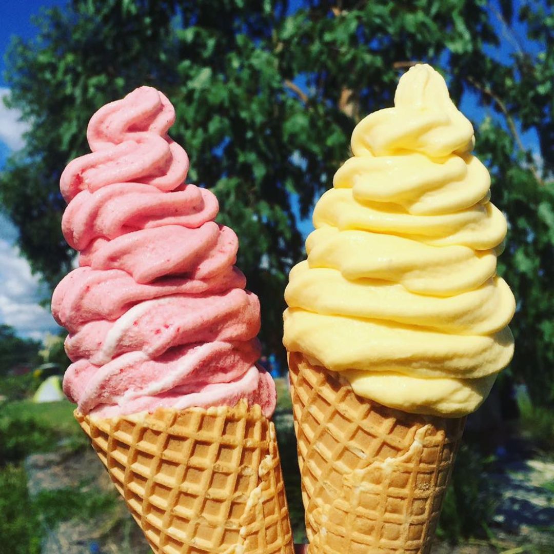 D'Lish Real Fruit Icecream